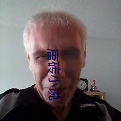 唐砖小说