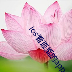 ios看直播的app