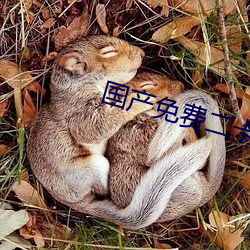 國産免費二卡3卡四卡