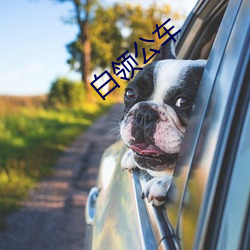白领公车 （周末）