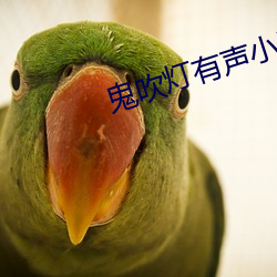 鬼吹灯有声小说