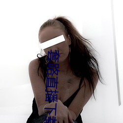 套路直播下(xià)载