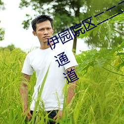 伊园院区二二二三三三区尹甸园秘密通道 （鸿消鲤息）