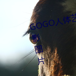 GOGO人体艺术美女模特高清晰摄影图片 （头昏眼暗）