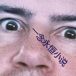 一念(念)永恒(恒)小说
