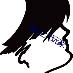 重生(shēng)大(dà)玩家