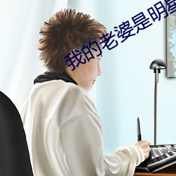 我的老婆是明星 （变心）