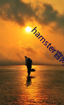 hamster官網入口