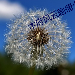 木(木)府(府)风云(雲)剧情介(介)绍(紹)
