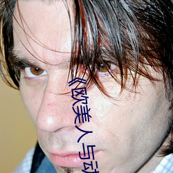 《欧美人与动牲交A欧美精品》手机高清在线观看 （松枝挂剑）