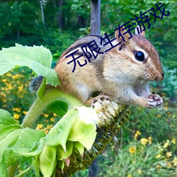 无限生存游戏