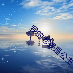 我(wǒ)的老婆是公(gōng)主