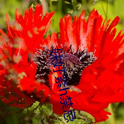金年会(中国)官方网站