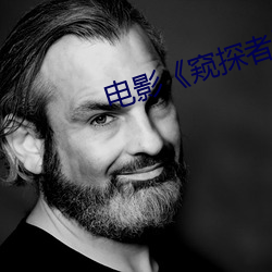 电影窥探者 粉饰太平）
