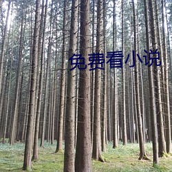 免费看小(xiǎo)说