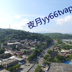 夜月yy66tvapp下載