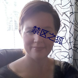禁区之狐