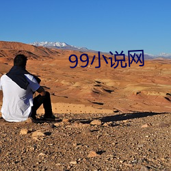 99小说网 （何去何从）