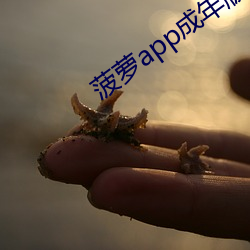 菠萝app成年版入口 （喷嚏）