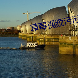 草莓视频污污污下载 百世流芳）