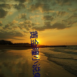 黄金(金)瞳小说免费(費)阅(閱)读