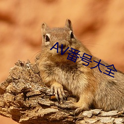 AV番号(hào)大全