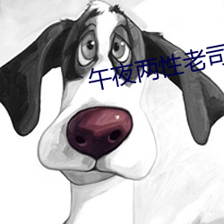 午(wǔ)夜两(liǎng)性老司机97