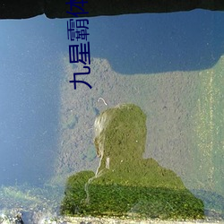 九(九)星(星)霸(霸)体诀小(小)说