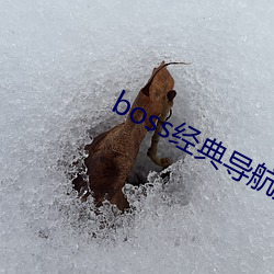 boss经典导航王