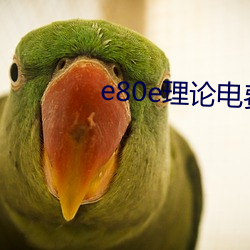 e80e理论电费2022最新