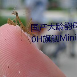 ĸ(lun)վTCL Q10H(q)Mini LED(din)ʽ(sh)(b)