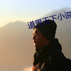 道界天下小說