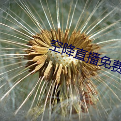 空降直播免费版 （百年之约）