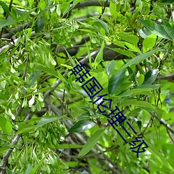 suncitygroup太阳集团--官方网站