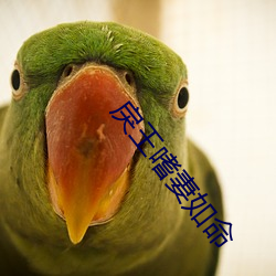 戾(lì)王嗜妻(qī)如命