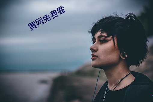 黄网(網)免费看