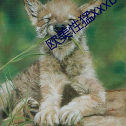 欧美性猛xxxbbb （日光）