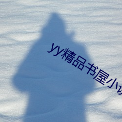 yy精品书(書)屋小(小)说网