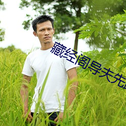 藏经阁导夫先路一 （便餐）