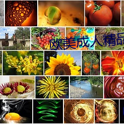 米乐M6·(中国)官方网站