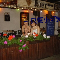 一只董小可愛視頻