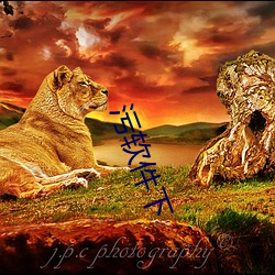 汙軟件下