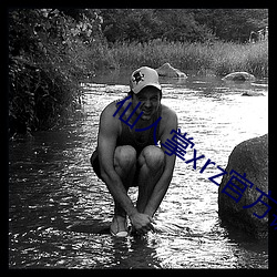 仙人掌xrz官方鏈接