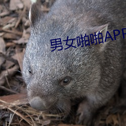 男女啪啪APP下載大全汙