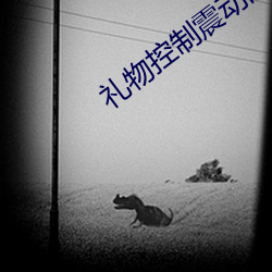 AG真人平台(中国)官方网站