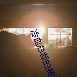 冷(lěng)血总裁的契约新(xīn)娘(niáng)