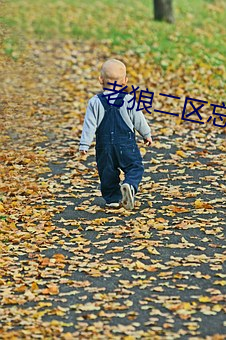 老狼二区(qū)忘忧草(cǎo)大(dà)豆(dòu)行qing画质高(gāo)清(qīng)