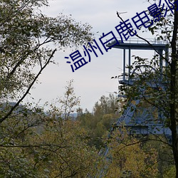 温州白鹿电影院