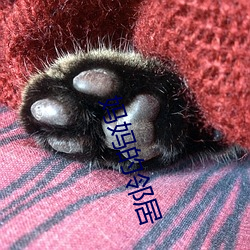 媽媽的鄰居