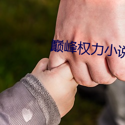巅峰权力小说